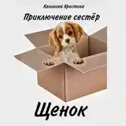 Постер книги Приключение сестер. Щенок