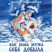 Постер книги Как Зема мужа себе добыла