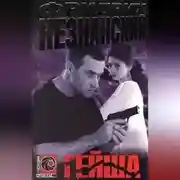 Постер книги Гейша