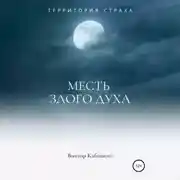 Постер книги Месть злого духа