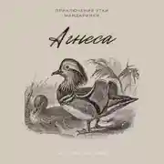 Постер книги Агнеса