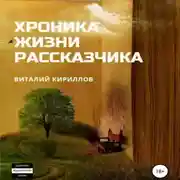 Постер книги Хроника жизни рассказчика. Сборник рассказов