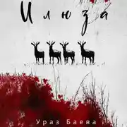 Постер книги Илюза