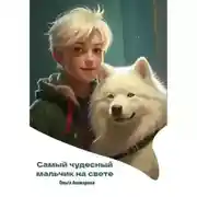 Постер книги Самый чудесный мальчик на свете