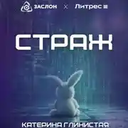 Постер книги Страж
