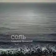 Постер книги Соль