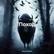 Постер книги Поход