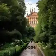 Постер книги В темном-темном городе