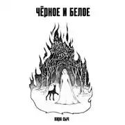 Постер книги Черное и белое