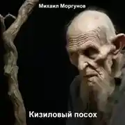 Постер книги Кизиловый посох