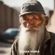 Постер книги Душа ножа