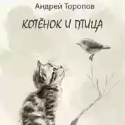 Постер книги Котёнок и Птица