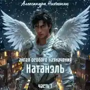 Постер книги Ангел особого назначения – 1. Натанэль