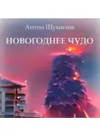 Антон Шумилов - Новогоднее чудо