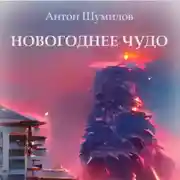 Постер книги Новогоднее чудо
