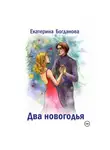 Екатерина Богданова - Два новогодья