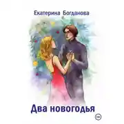 Постер книги Два новогодья