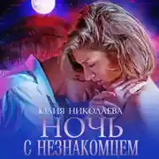 Постер книги Ночь с незнакомцем