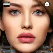 Постер книги Кукла для мажора