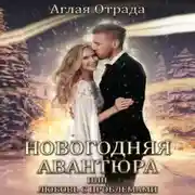 Постер книги Новогодняя авантюра, или Любовь с проблемами