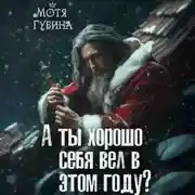 Постер книги А ты хорошо себя вёл в этом году?