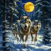 Постер книги Волкодав