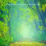 Постер книги Путешествие Маркуса в зелёный лес