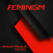 Постер книги Feminism