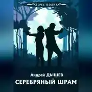 Постер книги Серебряный шрам