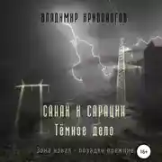 Постер книги Санай и Сарацин. Темное дело