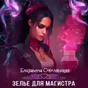 Постер книги Зелье для магистра