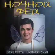 Постер книги Ночной фей