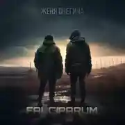 Постер книги Falciparum