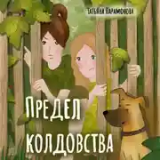 Постер книги Предел колдовства