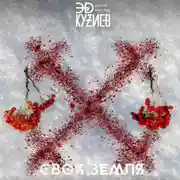 Постер книги Своя земля