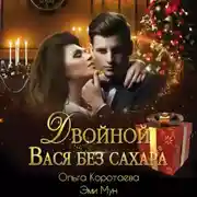 Постер книги Двойной Вася без сахара