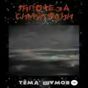 Постер книги Гипотеза симуляции