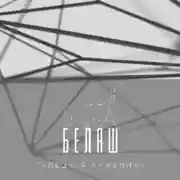 Постер книги Беляш
