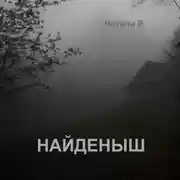 Постер книги Найденыш