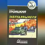 Постер книги Заблудившиеся