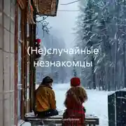 Постер книги (Не)случайные незнакомцы