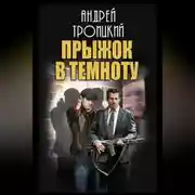 Постер книги Прыжок в темноту