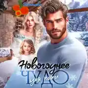 Постер книги Новогоднее чудо для папы