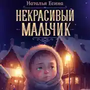 Постер книги Некрасивый мальчик