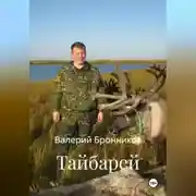 Постер книги Тайбарей