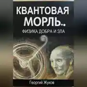 Постер книги Квантовая мораль. Физика добра и зла.