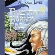 Постер книги Будущий новый год