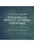 Александр Рудазов - Избранные