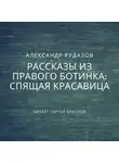 Александр Рудазов - Спящая красавица
