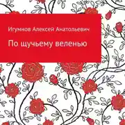 Постер книги По щучьему веленью